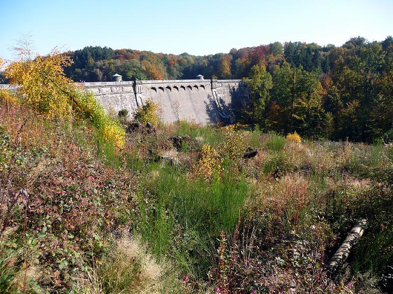 Neyetalsperre Herbst 2008 (44).JPG